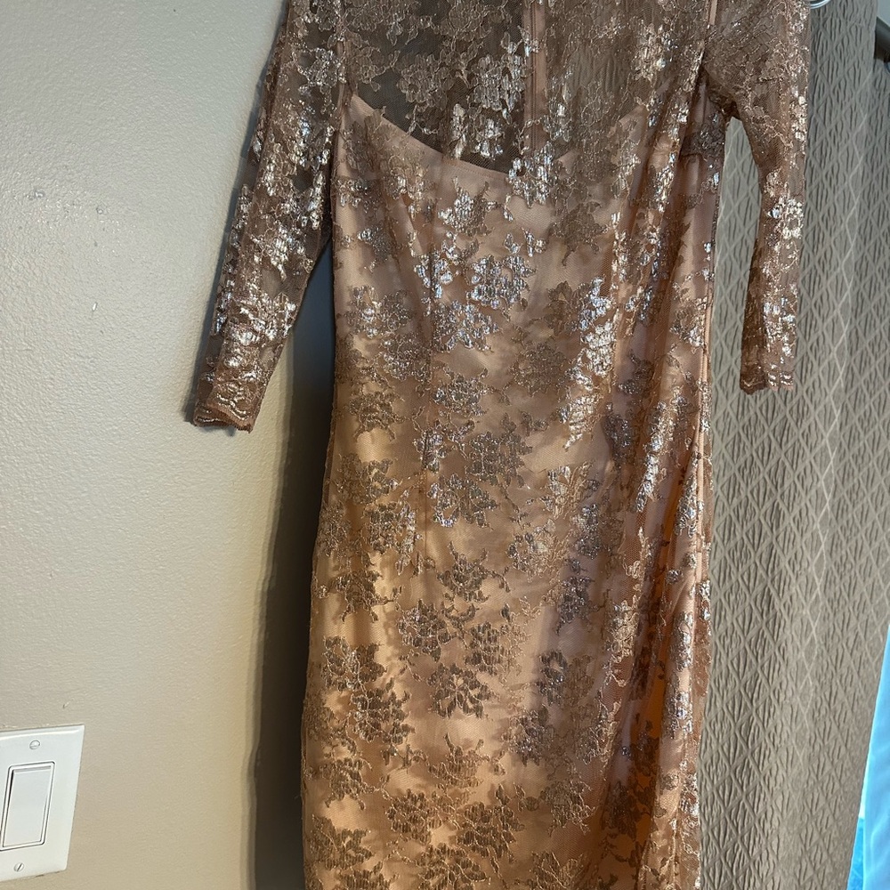 Slate & Willow Floral Lace Long Sleeve Dress in Blush and Silver